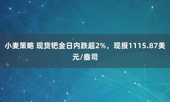 小麦策略 现货钯金日内跌超2%，现报1115.87美元/盎司