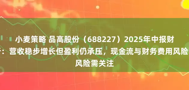 小麦策略 品高股份（688227）2025年中报财务分析：营收稳步增长但盈利仍承压，现金流与财务费用风险需关注