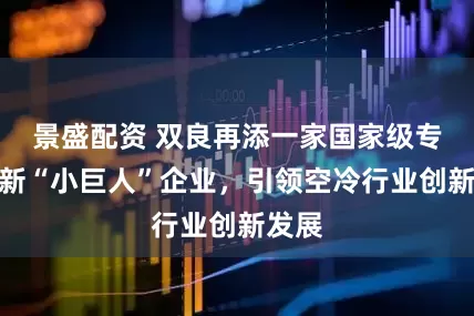 景盛配资 双良再添一家国家级专精特新“小巨人”企业，引领空冷行业创新发展